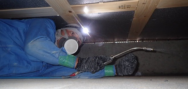 ラクラスのホウ酸処理