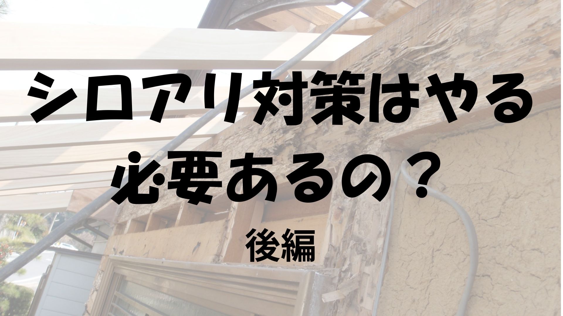 シロアリ対策はやる必要あるの？サムネ
